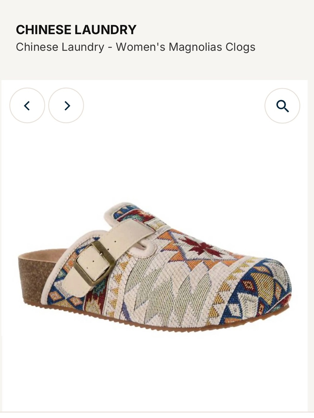 Indie Embroidered Slip-On Clogs
